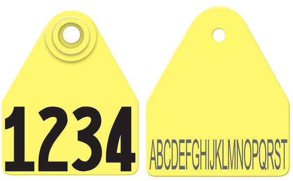 Allflex Medium Layout 10B