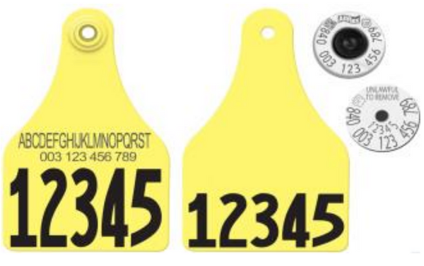Allflex USDA Super Maxi HDX Matched Pair Set Layout 65