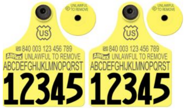 Allflex USDA Maxi Layout 12 (Tamperproof)