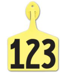 Feedlot Tags