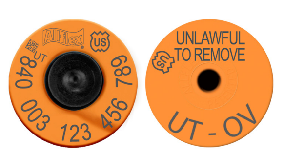 Allflex Brucellosis OCV RFID 840 Tags