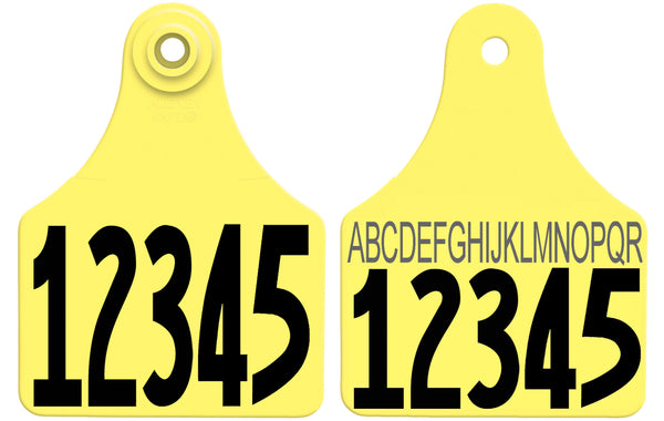 Allflex Large Layout 91