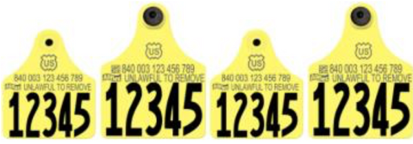 Allflex Allflex USDA Maxi Layout 14 (Tamperproof) - Yellow