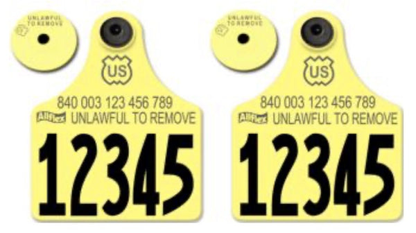 Allflex Allflex USDA Maxi Layout 4 (Tamperproof) - Yellow