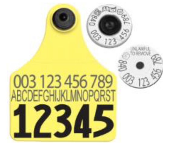 Allflex Allflex USDA Large HDX Matched Pair Set Layout 5 (Tamperproof) - Yellow