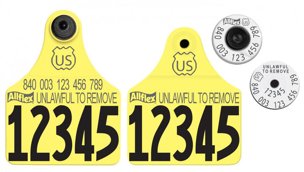 Allflex Allflex USDA Large HDX Matched Pair Set Layout 1 (Tamperproof) - Yellow