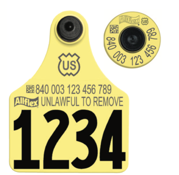 Allflex Allflex USDA Large FDX Matched Pair Set Layout 1 (Tamperproof) - Yellow