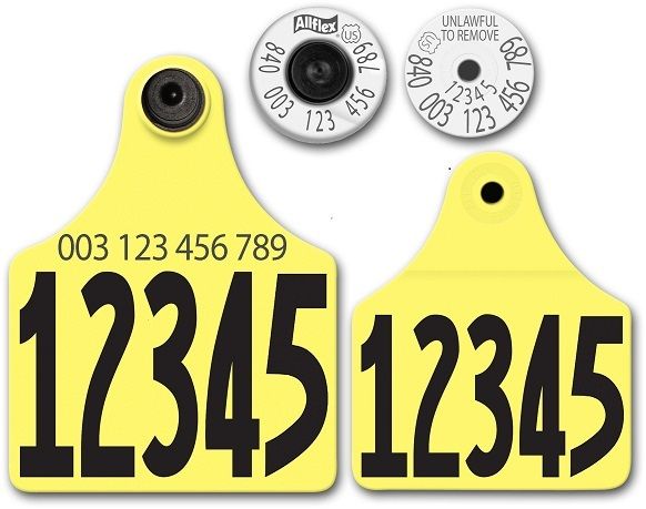 Allflex Allflex USDA Maxi HDX Matched Pair Set Layout 32 (Tamperproof) - Yellow