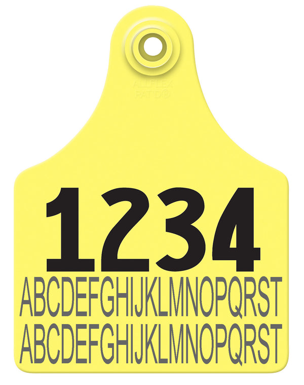 Allflex Maxi Layout 40