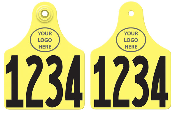 Allflex Maxi Layout 73