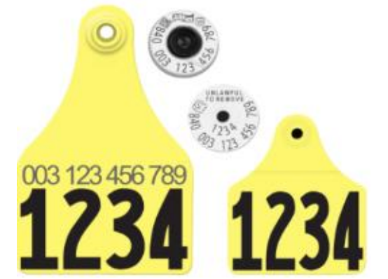 Allflex USDA Super Maxi HDX Matched Pair Set Layout 19 with Male Tag