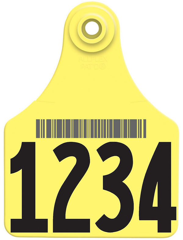 Allflex Allflex Large Layout 12 - Yellow