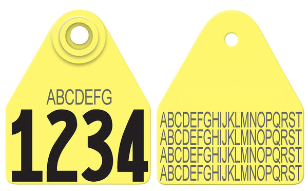 Allflex Allflex Medium Layout 36 - Yellow