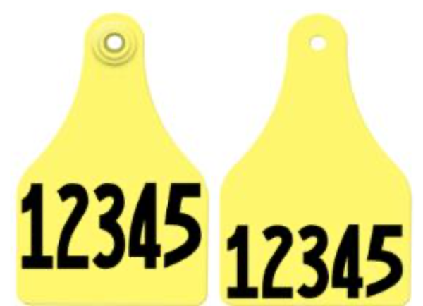 Allflex Allflex Super Maxi Layout 177 - Yellow