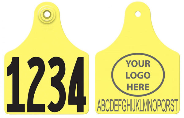 Allflex Allflex Maxi Layout 14 - Yellow