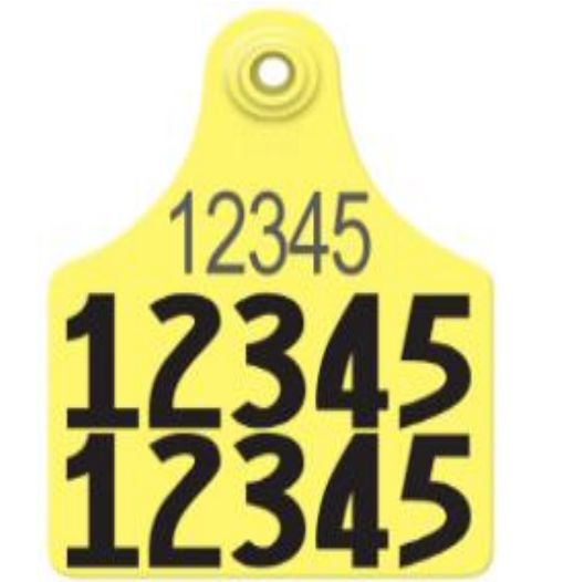 Allflex Allflex Maxi Layout 198 - Yellow