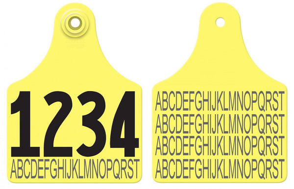 Allflex Allflex Maxi Layout 35 - Yellow