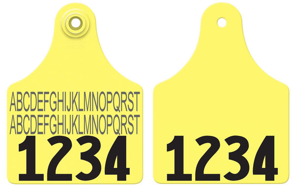 Allflex Allflex Maxi Layout 4R - Yellow