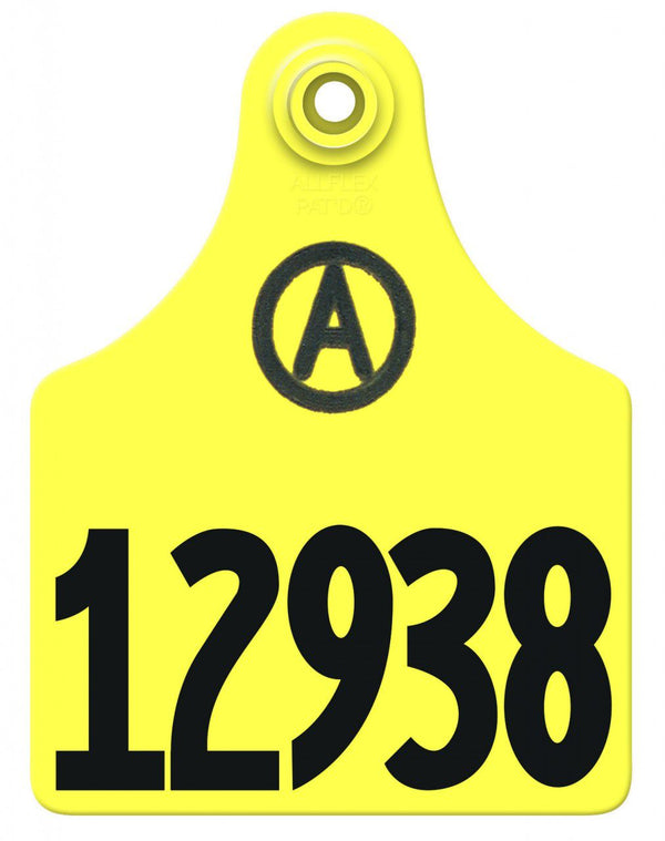 Allflex Allflex Maxi Layout 6 - Yellow