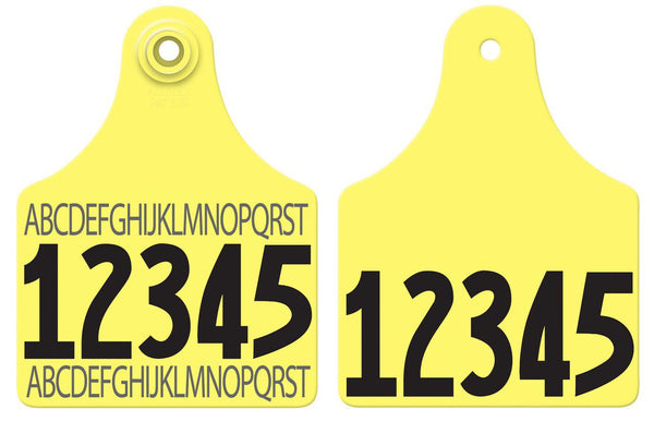 Allflex Allflex Maxi Layout 69 - Yellow