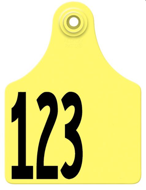 Allflex Allflex Maxi Layout 82 - Yellow