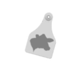 Key Rings (attached to tag)