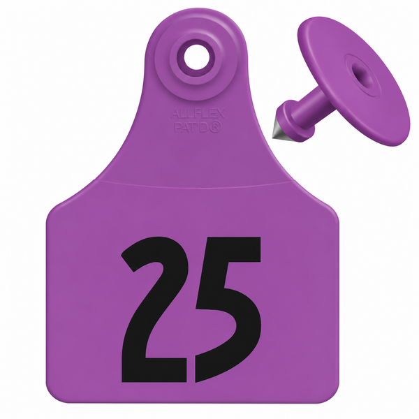Allflex Pre-Numbered Large tags in bags of 25- Classic Purple
