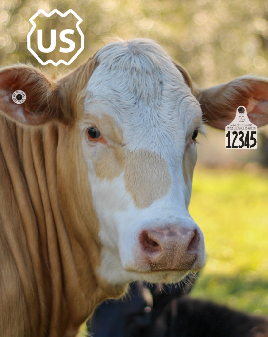 Understanding Traceability with the USDA