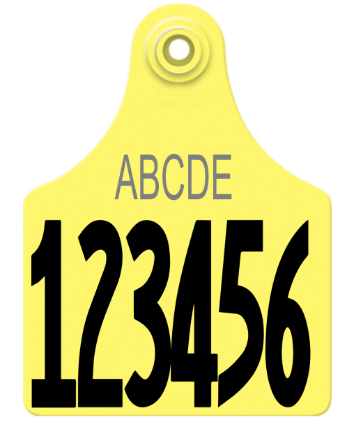 Allflex Maxi Layout 5 (TEXT)