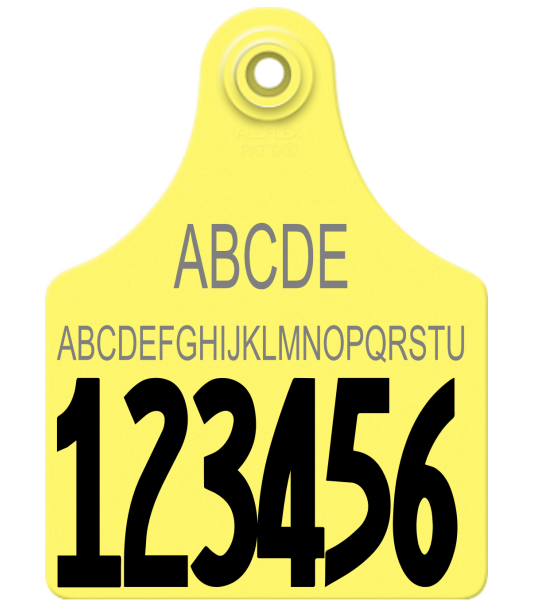 Allflex Maxi Layout 17 (TEXT)