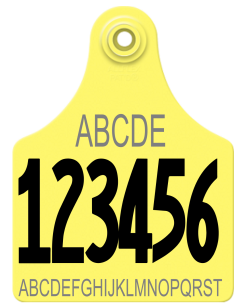Allflex Maxi Layout 81 (TEXT)