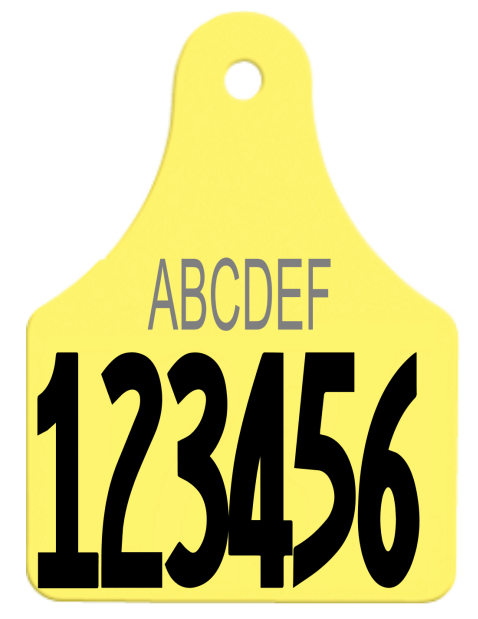 Allflex Large Layout 3 (TEXT)