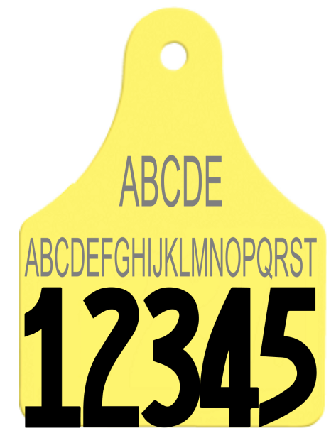 Allflex Large Layout 8 (TEXT)