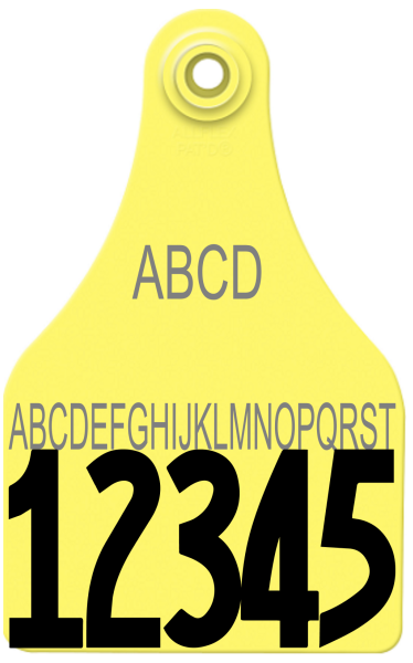 Allflex Super Maxi Layout 17 (TEXT)