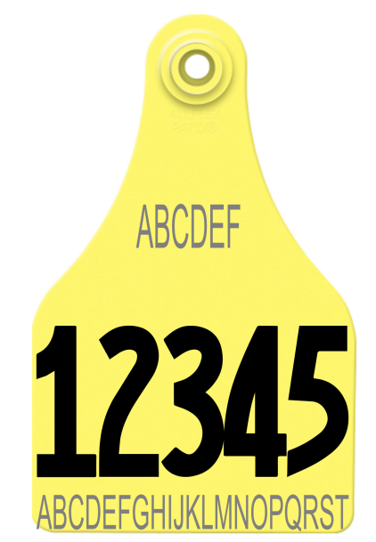 Allflex Super Maxi Layout 50 (TEXT)