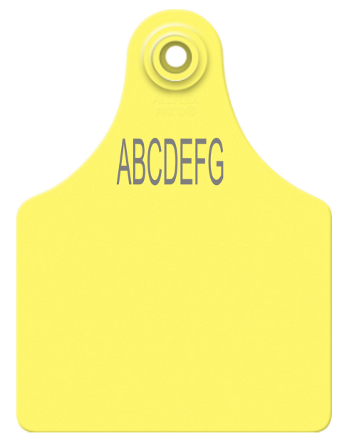 Allflex Maxi Layout 20 (TEXT)