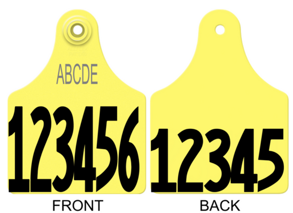 Allflex Maxi Layout 5R (TEXT)