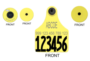 Allflex Large FDX Matched Pair Set Layout 3 TEXT (Tamperproof)