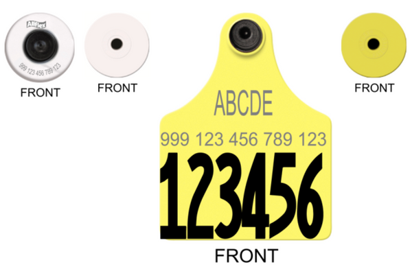 Allflex Maxi HDX Matched Pair Set Layout 3 TEXT (Tamperproof)