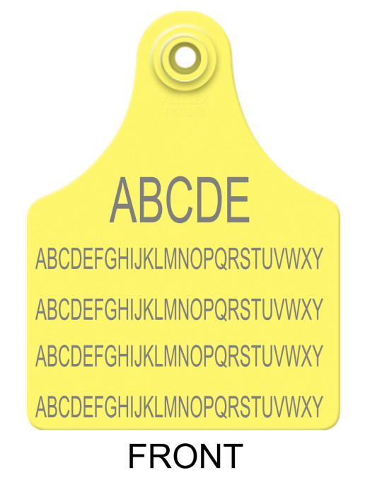Allflex Maxi Layout 38 (TEXT)