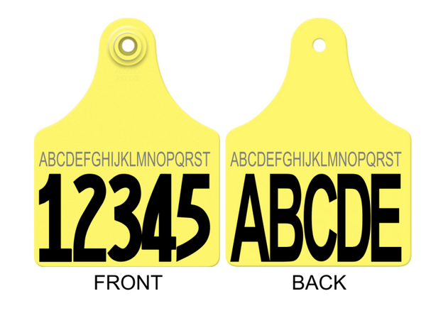 Allflex Maxi Layout 91 (ALT)