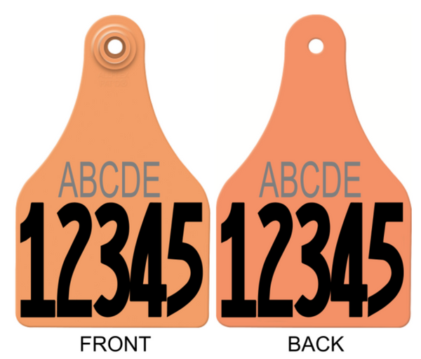 Allflex Super Maxi Layout 48