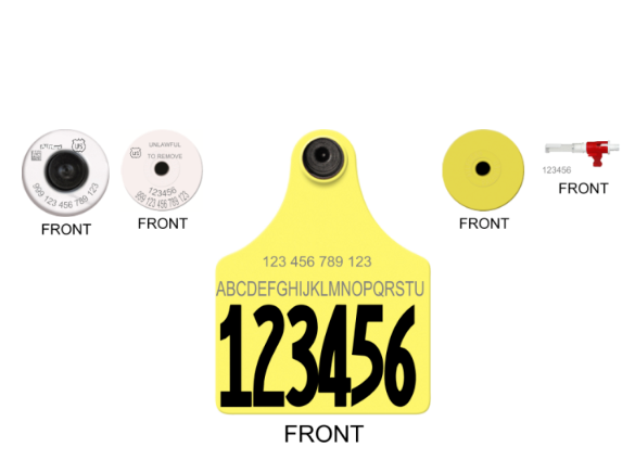 Allflex TSU Maxi USDA HDX EID Tag Layout 44 (Tamperproof)