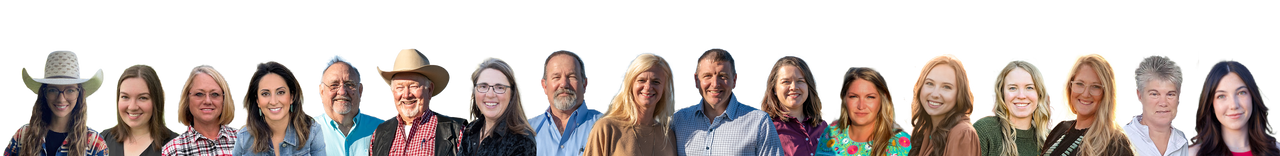 We Tag Our Cattle With The Products We Sell