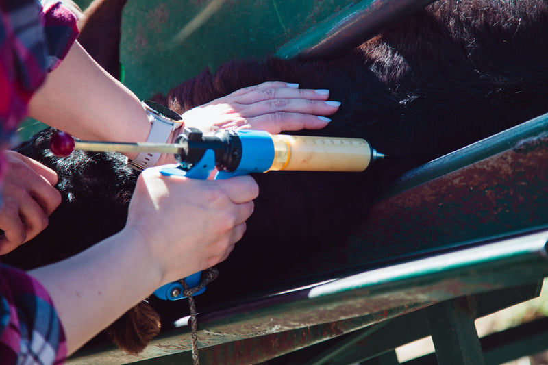 Shop Allflex Syringes