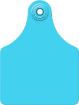 Allflex Visual Ear Tags