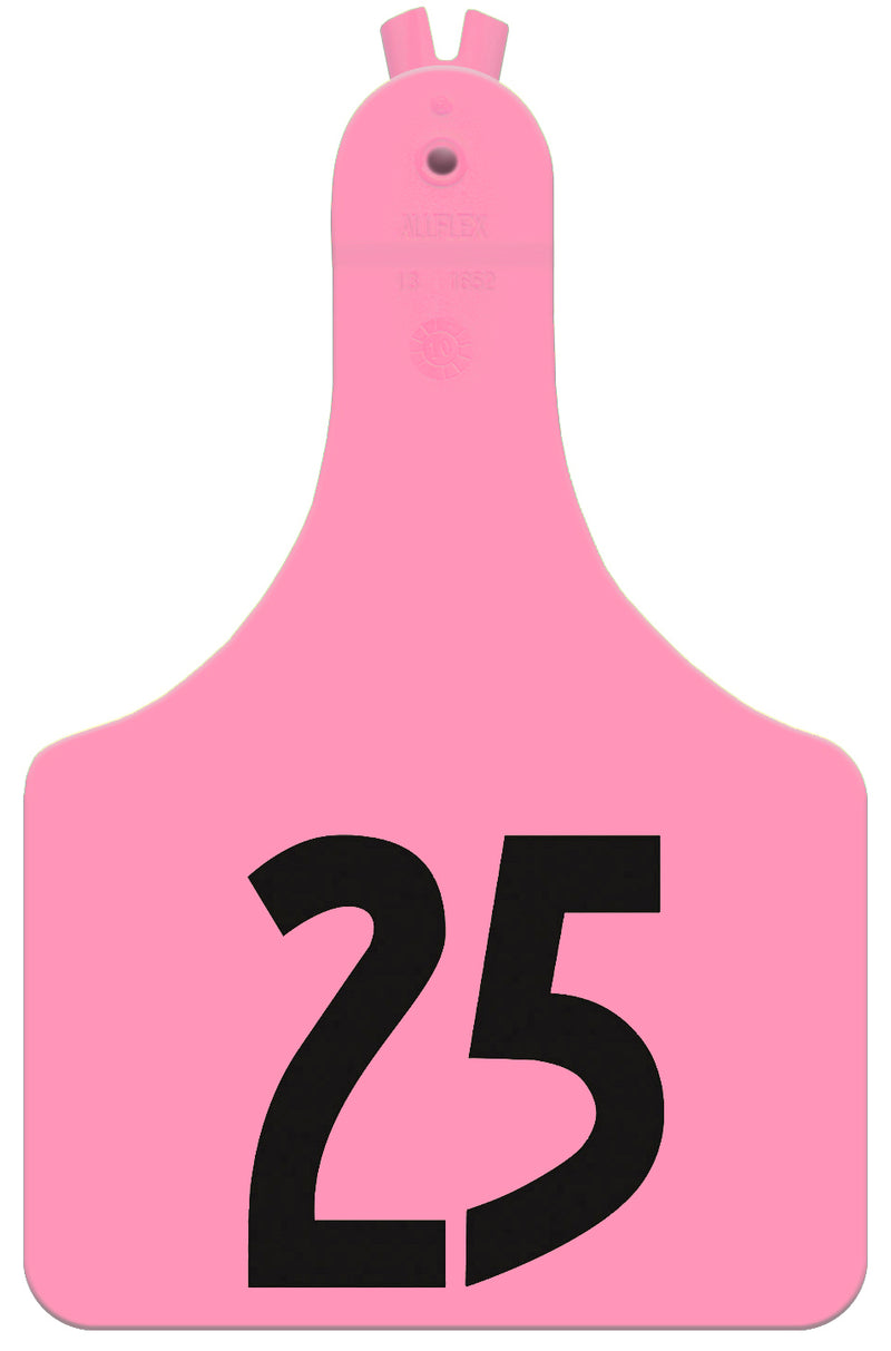 A-TagCowPink_800x.jpg?v=1615315015