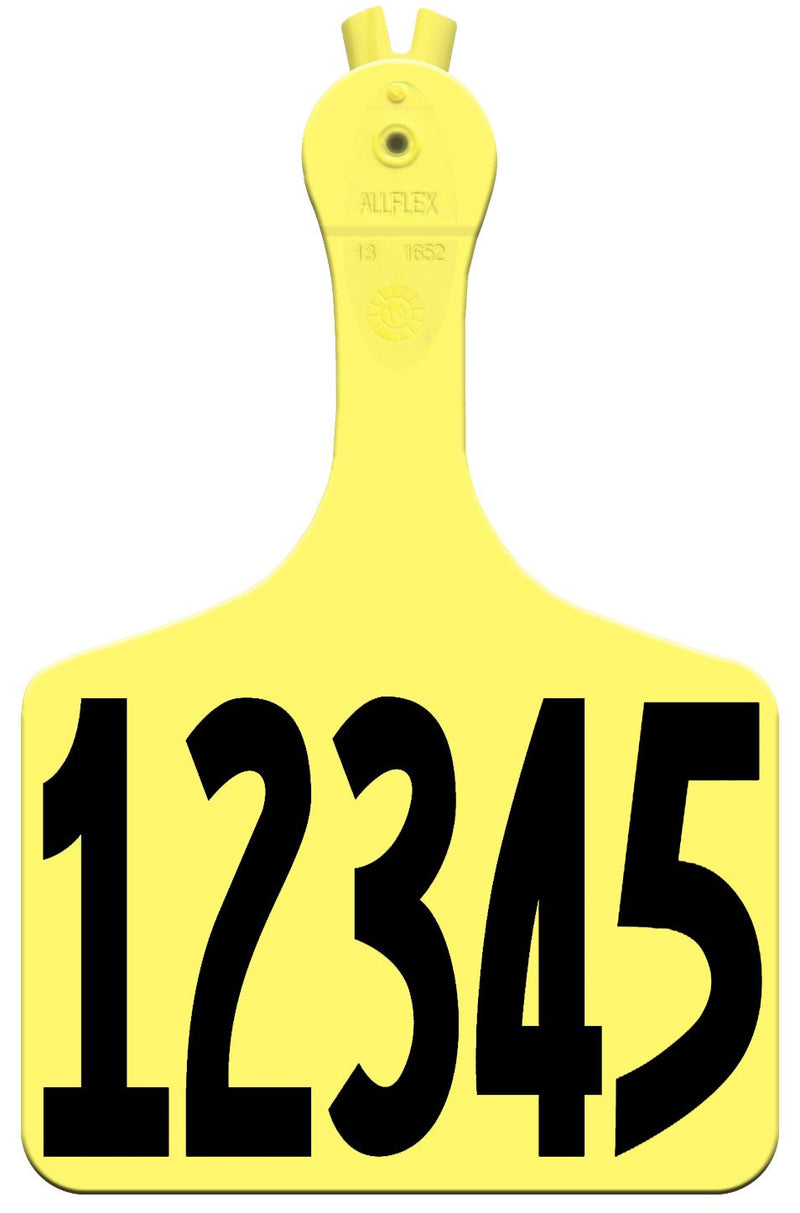 Allflex Feedlot Tags