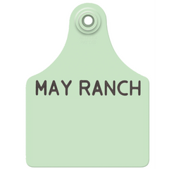 Allflex Maxi Layout 18